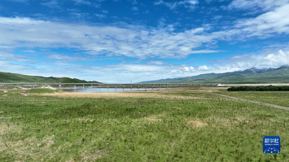 富豪金斗地主